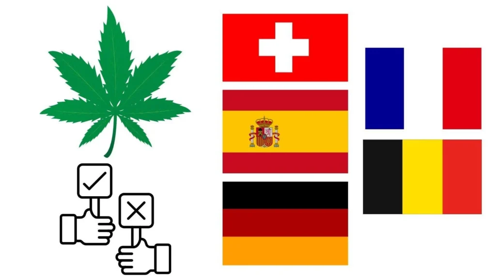 Normativa Cannabis Light in Italia