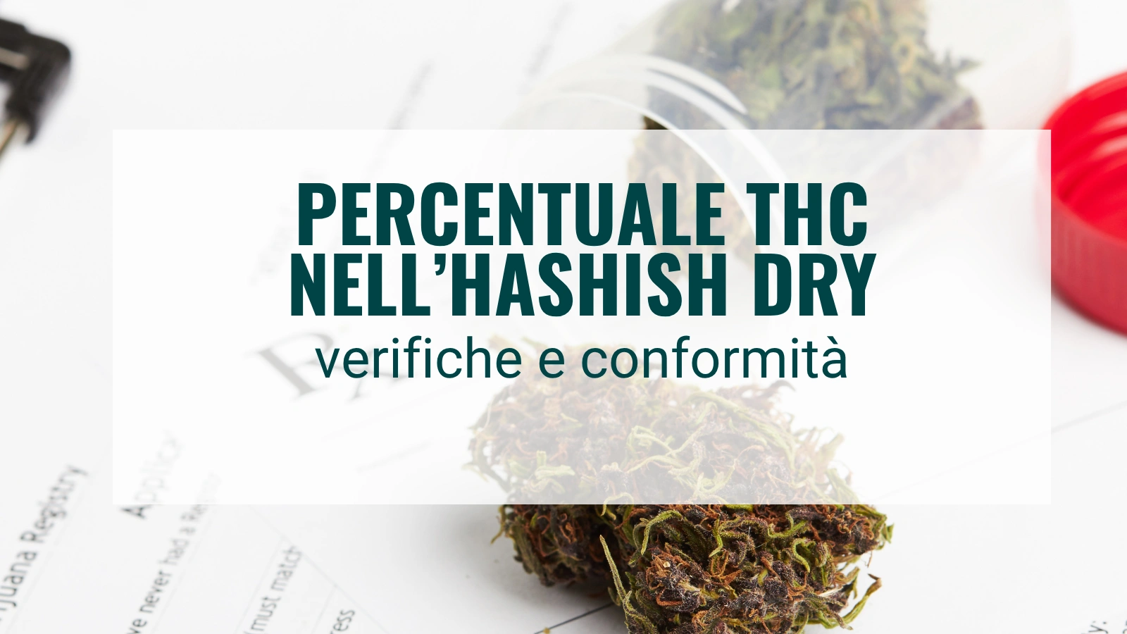 Percentuale THC Hashish Dry