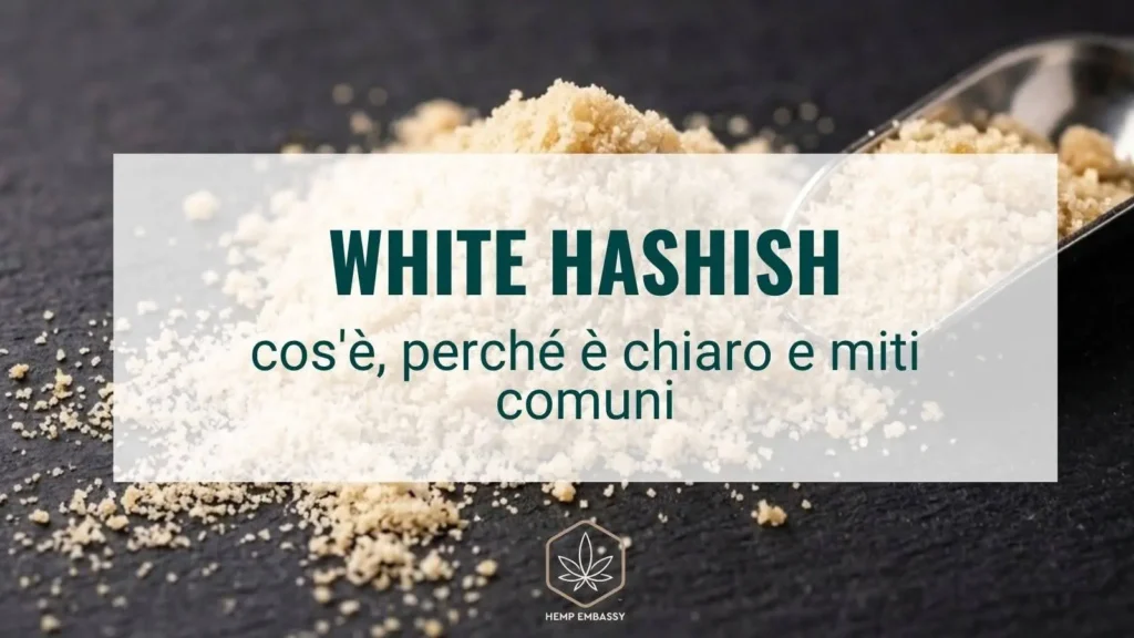 White hashish significato