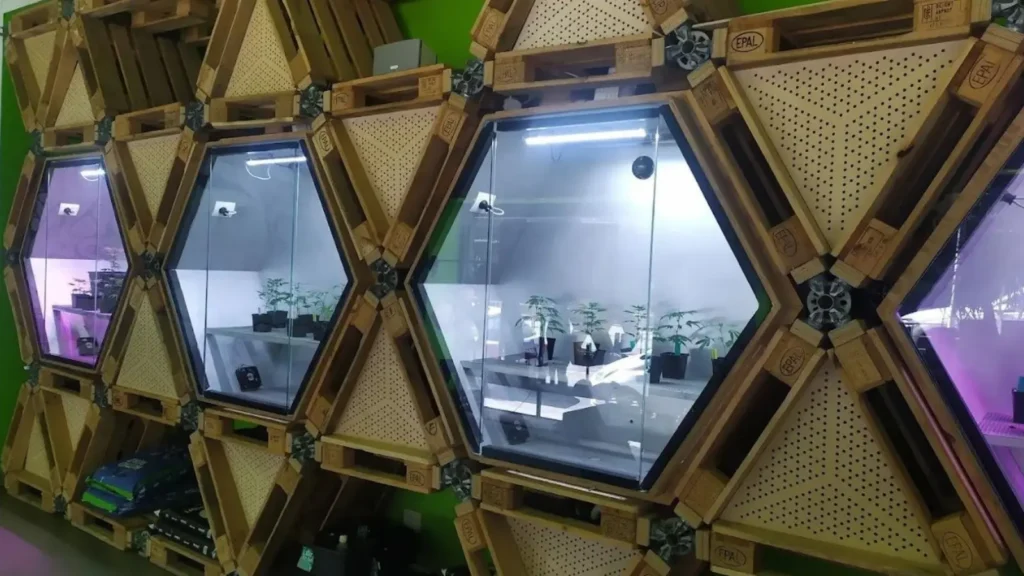 CBD Shop a Milano