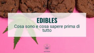 Edibles cosa sono