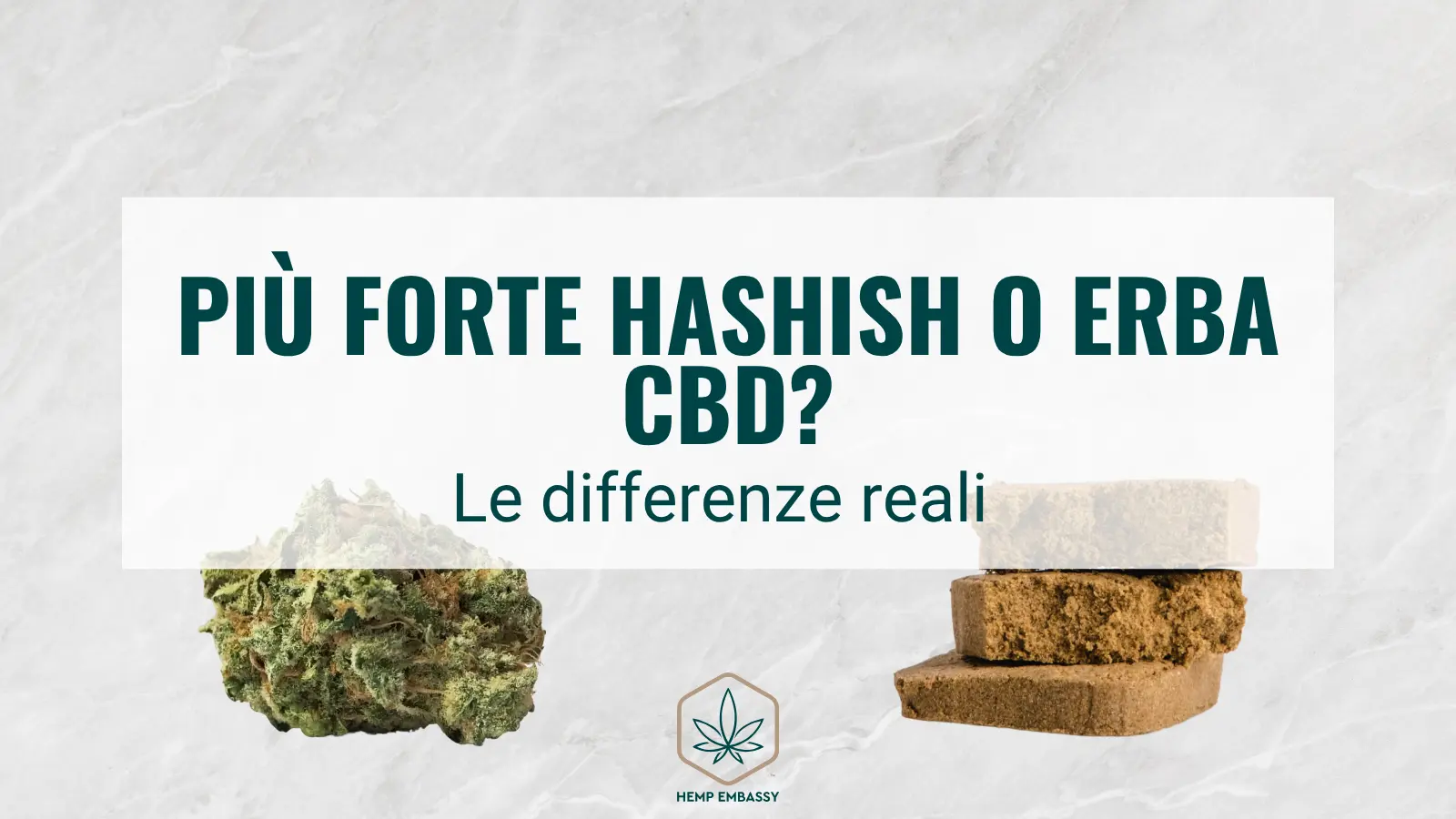 Più forte hashish o erba CBD_ Le differenze reali