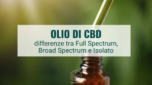 Olio CBD