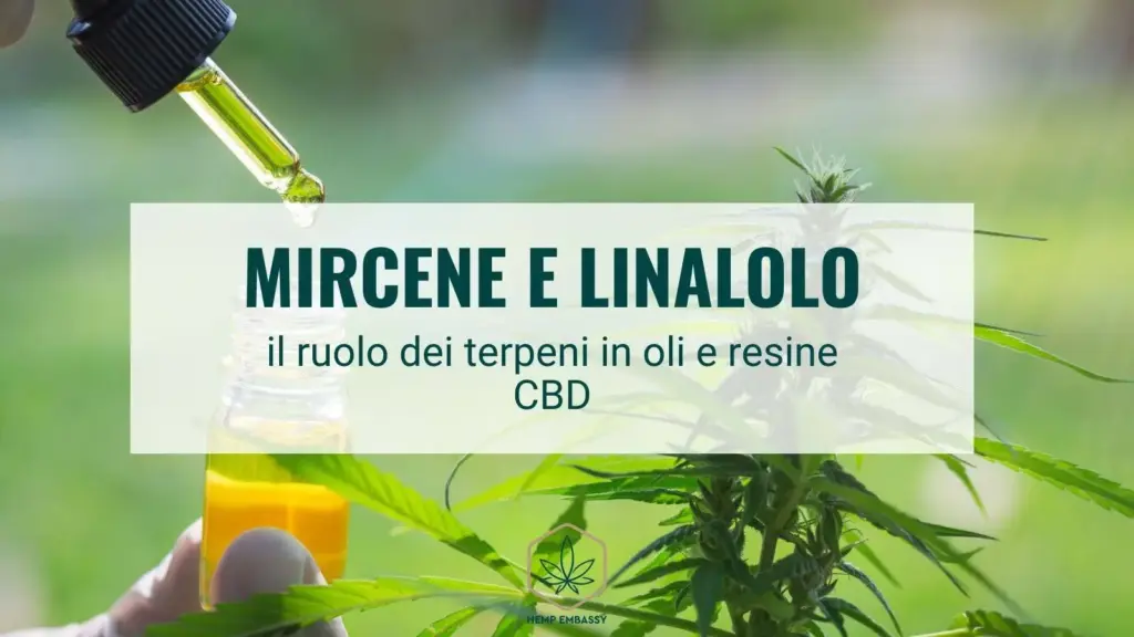Mircene e linalolo