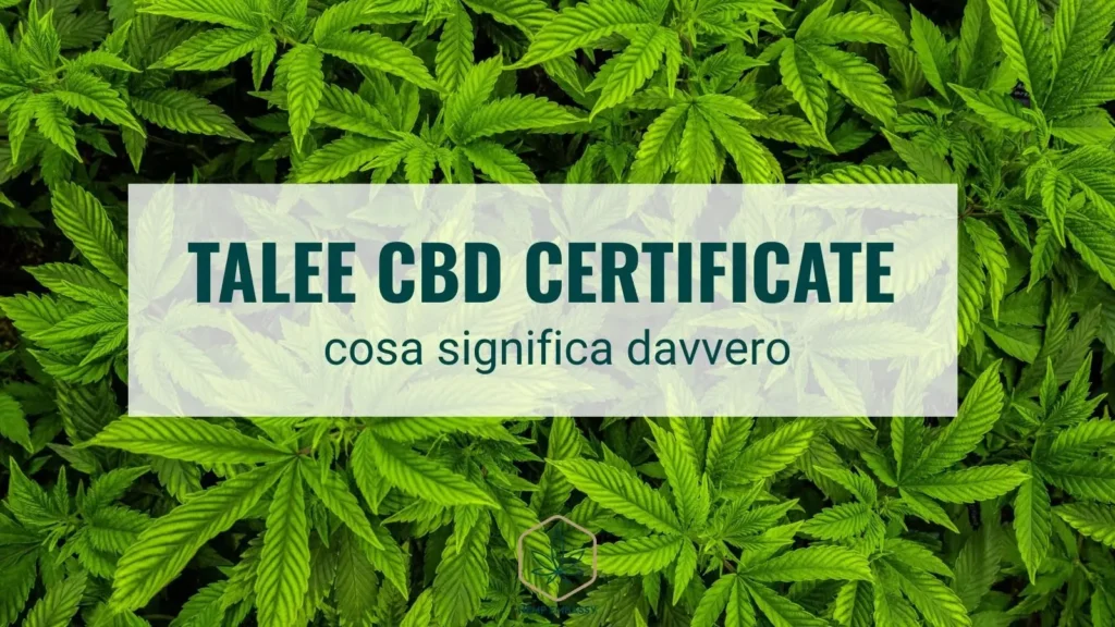 Talee CBD certificate