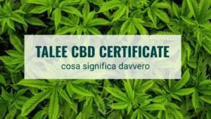 Talee CBD certificate