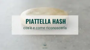 Piattella hash